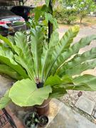 Huan Jaikaew Guesthouse