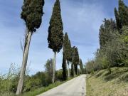Montebello, Cuore Toscano