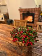 Top Głodowo Top Głodowo