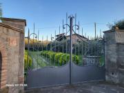 Top Vitorchiano