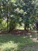 Casitas del Río Bijagua