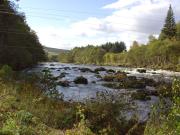 Top Pitlochry
