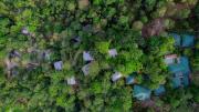 Top Wayanad