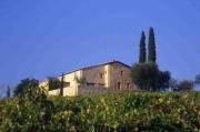 Top Montalcino