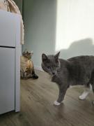 Top Oliveira do Douro