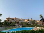 Under the Palm Trees