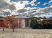 New Kingston Trampoline House