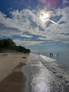 Top Paprotno Top Paprotno