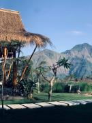 Top Kintamani