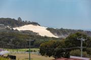 Top Forster