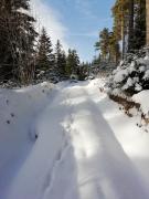 Top Ustrzyki Dolne