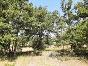 Top Trans-en-Provence