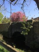 1800 Period Grade 2 Listed Cottage Addingham 1800 Period Grade 2 Listed Cottage Addingham