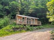 Top Haliburton