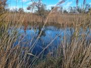 Top Saintes-Maries-de-la-Mer