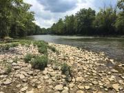 Top Loveland Top Loveland