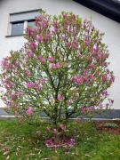 Widmann‘s Ferienquartier