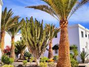 Top Corralejo