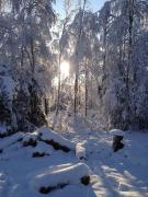 Top Bytów Top Bytów