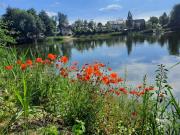 Top Dzierżoniów Top Dzierżoniów