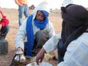 Top Merzouga