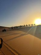 Bright Star Desert Camp