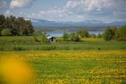 Top Orrviken