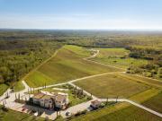 Saints Hills Cantina