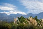 Top Potrerillos