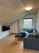 Cozy Apartment in Billund