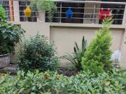 Top Noida