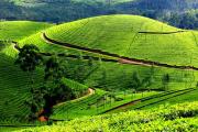 Top Idukki