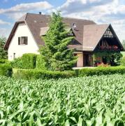 Appartement charmant à Hochfelden - 100 m² et parking gratuit