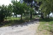 Top Borghetto