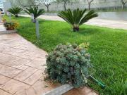 Top Agropoli