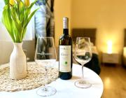 Top Sandomierz Top Sandomierz