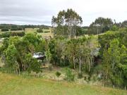 Top Curaco Top Curaco