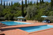 Top Montaione