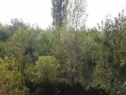 Top Budapest Top Budapest