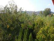 Top Budapest Top Budapest