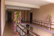 Top Alleppey