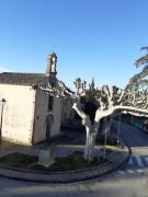 Top Beaumes-de-Venise