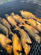 Bastukleven, stuga i Hamnsundets skärgårds idyll