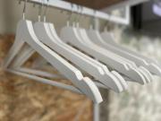 HomingPisa - Gemini OneTwo - NEW (900 Reviews)