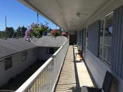 Top Ucluelet Top Ucluelet