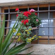 Top Costa di Mezzate