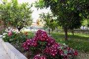 Top Vlorë