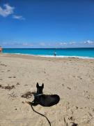 3 bedroom Casa Azul in Historic Northwood Hills