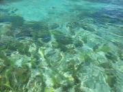 Top Bocas del Toro