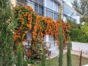 Torreblanca 2 bedrooms apart with small garden and pool